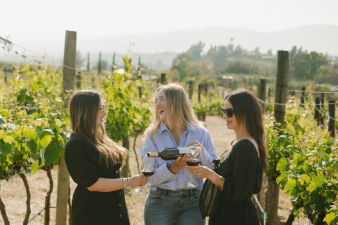 Private Wine Tour by Ansell Tours - The Stop-by-Stop Plan: What Each Winery Adds