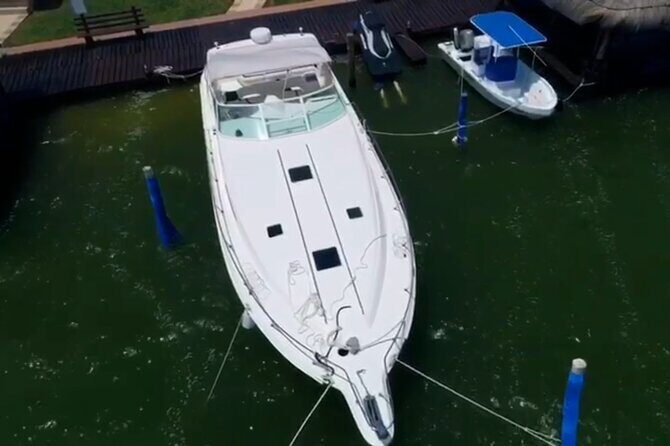 Private Yacht 46ft Sea Ray Snorkel up to 15 pax 23P2 - Swim-access reality check for Isla Mujeres