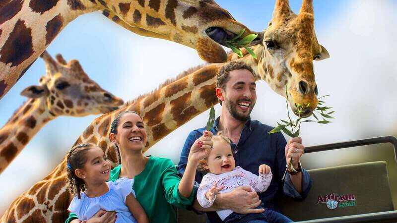 Puebla Africam Safari Park, Live an Unforgettable Adventure! - Taking off from Puebla: Zócalo meeting point and what the day really looks like