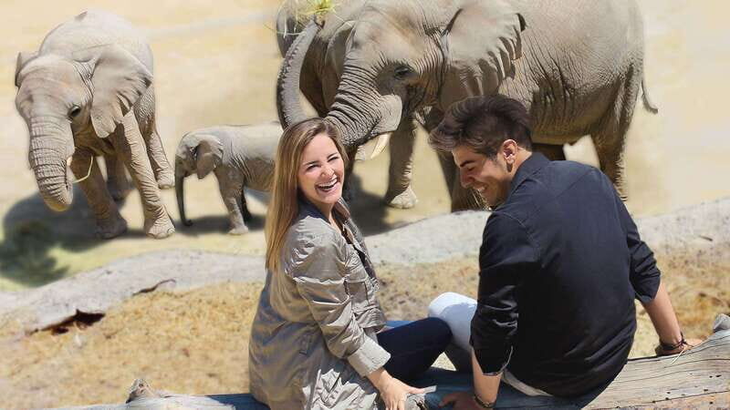 Puebla Africam Safari Park, Live an Unforgettable Adventure! - The safari route: what you’ll see across Okavango, Kalahari, Serengeti, and more