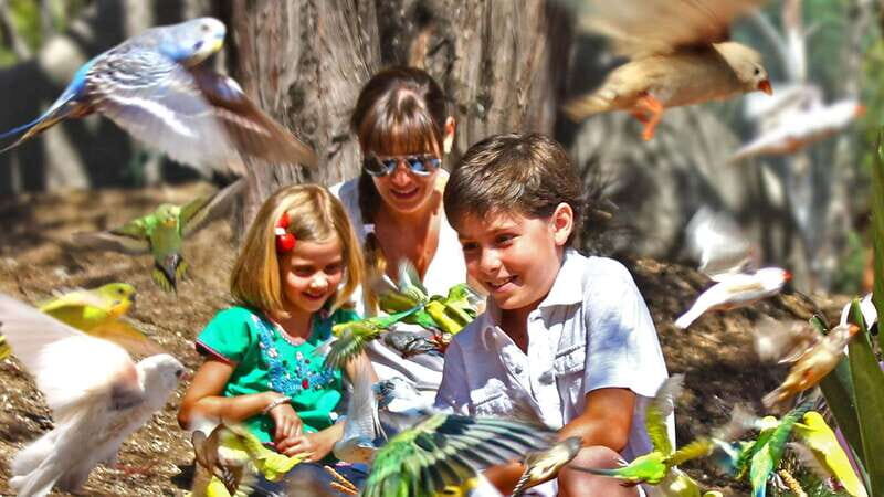 Puebla Africam Safari Park, Live an Unforgettable Adventure! - What you should bring (and what can cause problems)