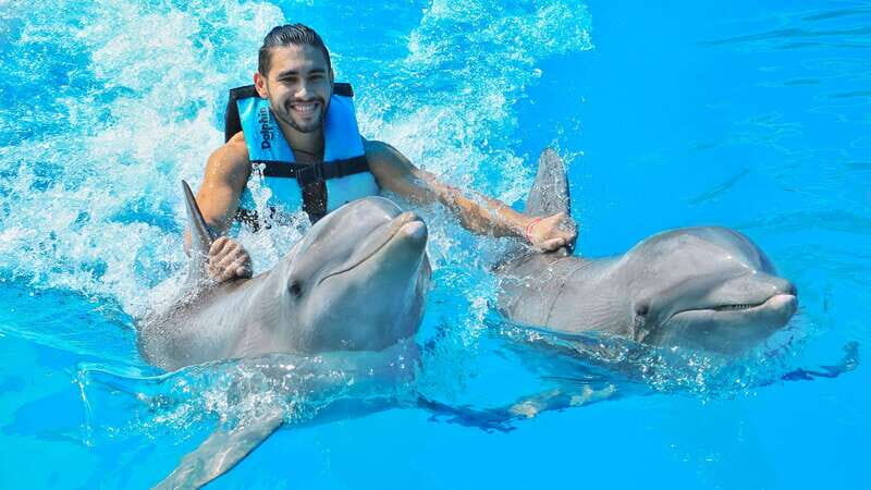 Puerto Aventuras: Dolphin Swim, Sea Lions, Manatees, & Lunch - Key moments you’ll care about