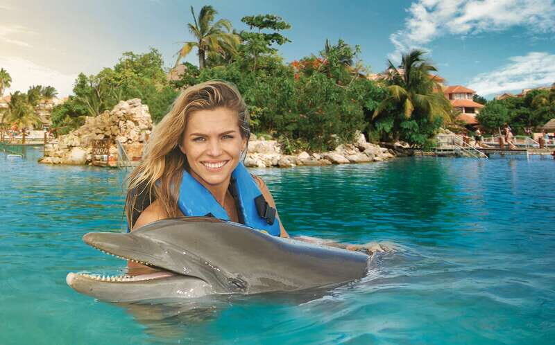 Puerto Aventuras: Dolphin Swim, Sea Lions, Manatees, & Lunch - The 15-Minute Briefing: What you do before you hop in
