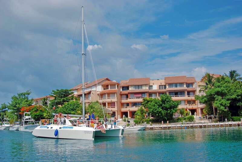Puerto Aventuras: Dolphin Swim, Sea Lions, Manatees, & Lunch - Dolphin Swim Time: Why the program format matters