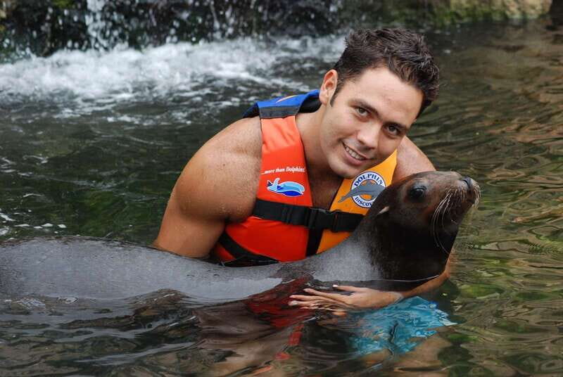 Puerto Aventuras: Dolphin Swim, Sea Lions, Manatees, & Lunch - Sea Lions and Manatees: Two 30-minute encounters, different vibes