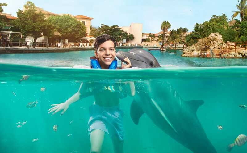 Puerto Aventuras: Dolphin Swim, Sea Lions, Manatees, & Lunch - Price and What You’re Really Paying For: The $135 value math