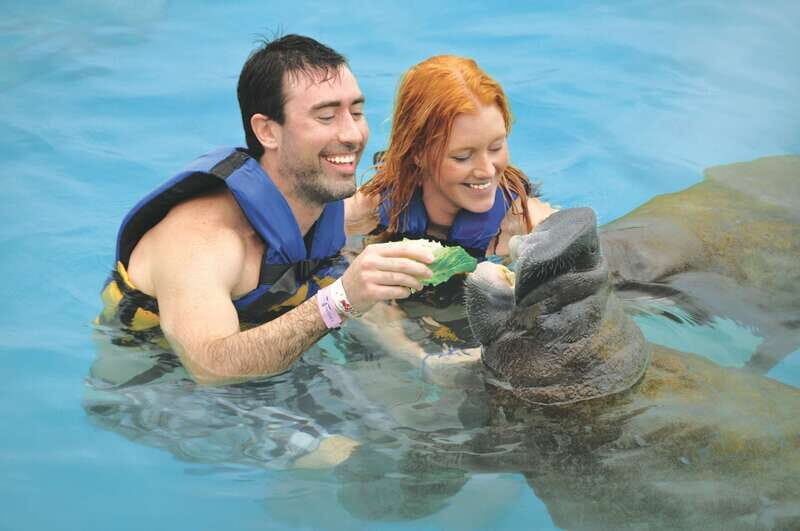 Puerto Aventuras: Dolphin Swim, Sea Lions, Manatees, & Lunch - Rules and family requirements: Height limits and no-camera day