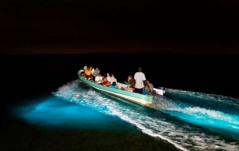 Puerto Escondido: Bioluminescence Night Spectacle - Why Manialtepec’s bioluminescence looks almost unreal
