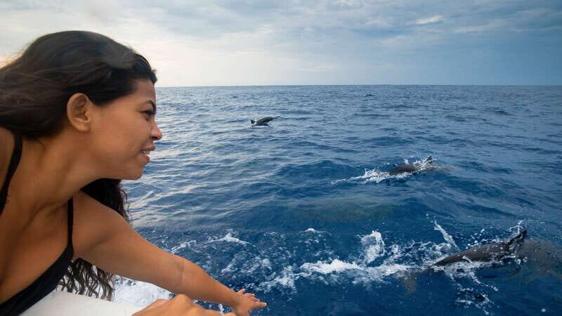 Puerto Escondido: Boat Tour among Dolphins and Turtles - Key moments that make this Puerto Escondido cruise special
