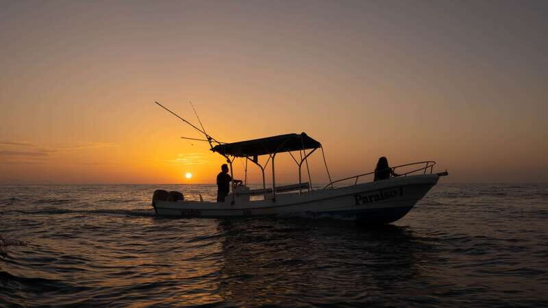 Puerto Escondido: Boat Tour among Dolphins and Turtles - Why the 7:00 AM start matters more than you think