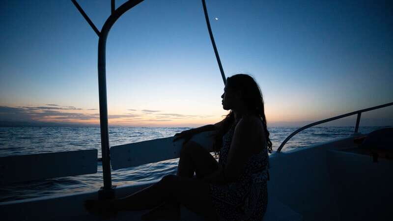 Puerto Escondido: Boat Tour among Dolphins and Turtles - The 3-hour cruise: calm water, clear viewing, big-animal energy