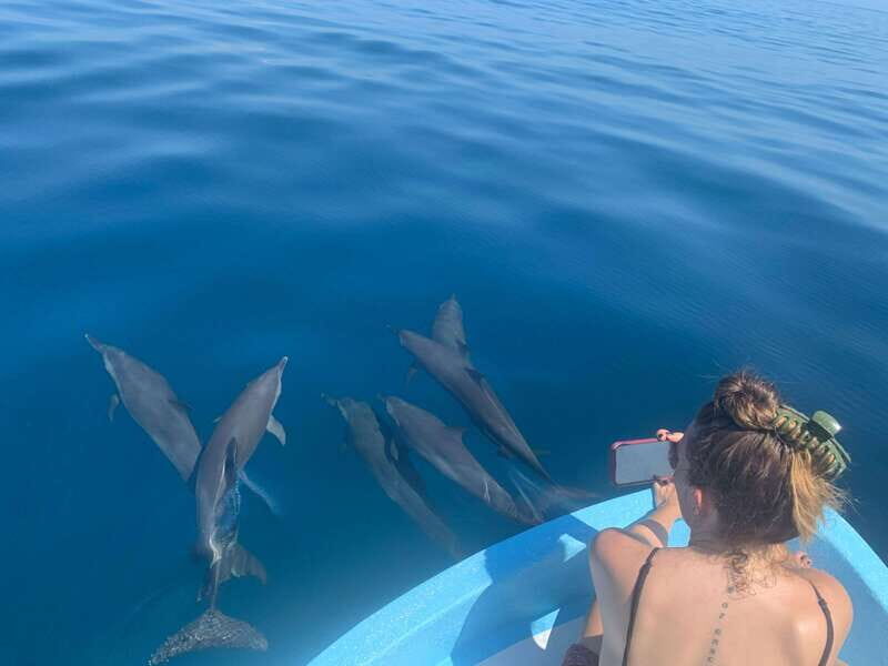 Puerto Escondido: Boat Tour to see Dolphins and Marine Life - Key things to know before you go