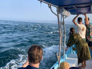 Puerto Escondido: Boat Tour to see Dolphins and Marine Life - Meet the boat: finding Fanny and keeping the day simple