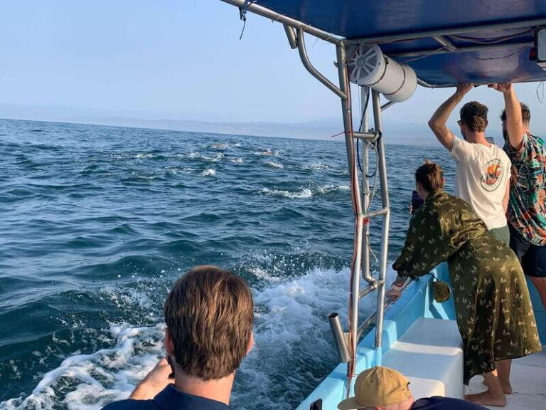 Puerto Escondido: Boat Tour to see Dolphins and Marine Life - Meet the boat: finding Fanny and keeping the day simple
