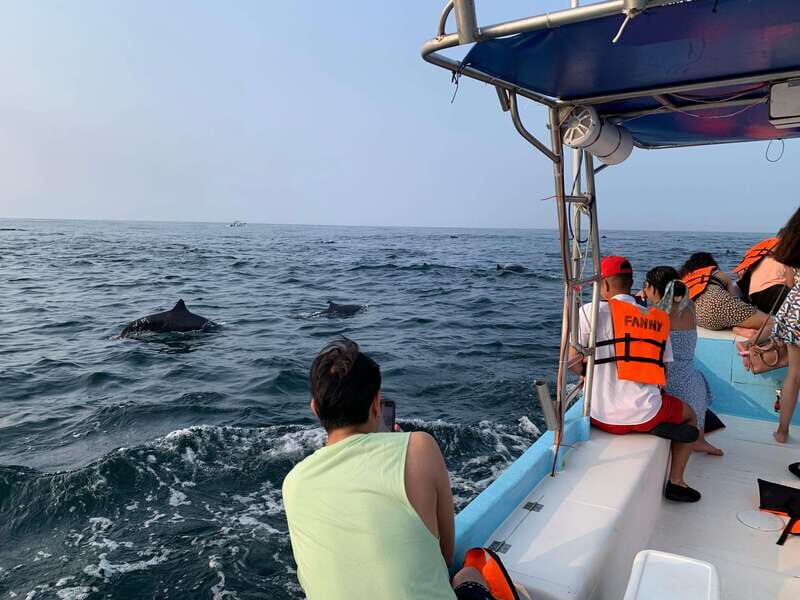 Puerto Escondido: Boat Tour to see Dolphins and Marine Life - Whale watching from November to March: the seasonal bonus that can steal the show