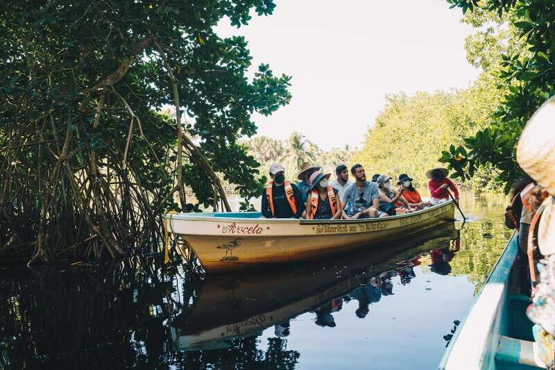 Puerto Escondido: Oaxaca Coast Wildlife Ecotour - Key Points at a Glance