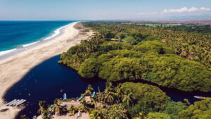 Puerto Escondido: Oaxaca Coast Wildlife Ecotour - The Day’s Pacing: How 8 Hours Feels on the Coast