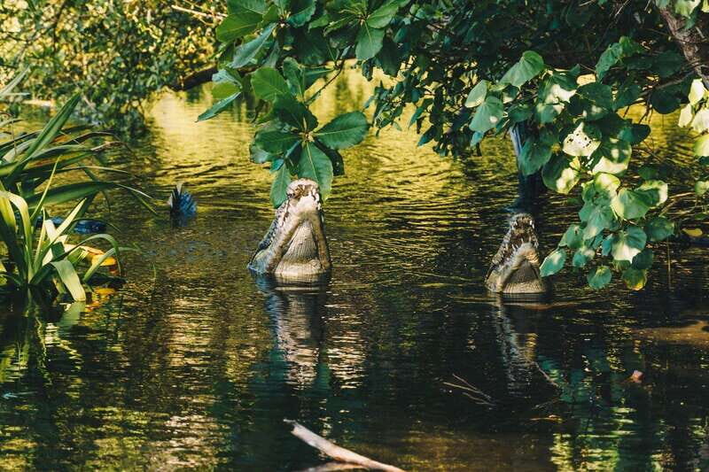 Puerto Escondido: Oaxaca Coast Wildlife Ecotour - Price and Value: What $50 Covers and What Costs Extra