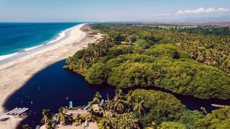 Puerto Escondido: Oaxaca Coast Wildlife Ecotour - The Day’s Pacing: How 8 Hours Feels on the Coast