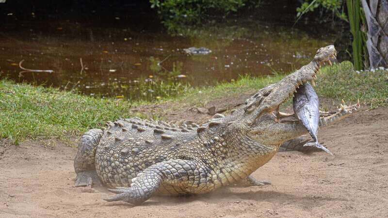 Puerto Escondido: Oaxaca Coast Wildlife Ecotour - The Guide Factor: Edgar’s Style and Why It Matters