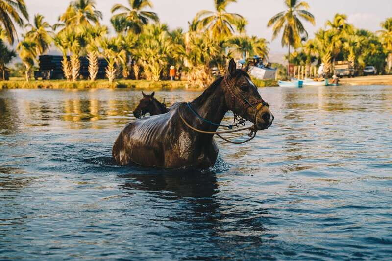Puerto Escondido: Sunset Horse Back Riding Tour - Puerto Suelo Beach bonfire: marshmallows and local stories