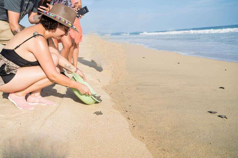 Puerto Escondido: Turtle Release Experience - How the Turtle Release Works: Pickup to Sunset Beach