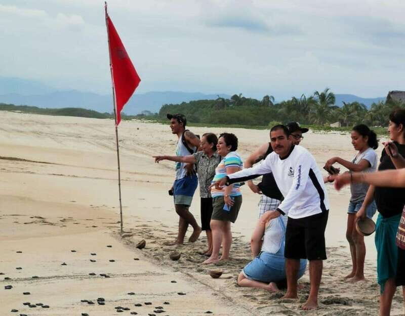 Puerto Escondido: Turtle Release Experience - Timing, Transport, and Group Comfort on the Way