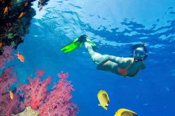 Puerto Morelos Catamaran Reef Sail and Snorkel - The vibe: a modern catamaran day that stays relaxed