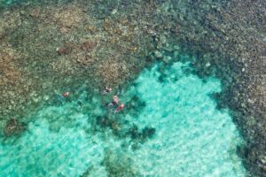 Puerto Morelos Catamaran Reef Sail and Snorkel - National Reef Park snorkeling: what you’re actually paying for