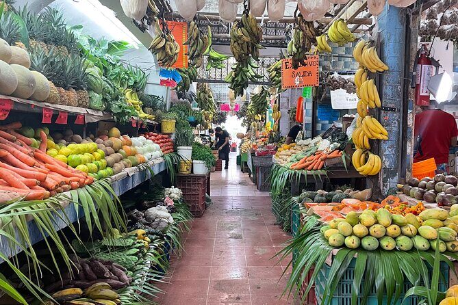 Puerto Morelos Foodie Tour, Mexico in every bite! - What to Bring, What to Expect, and How to Get the Most from It