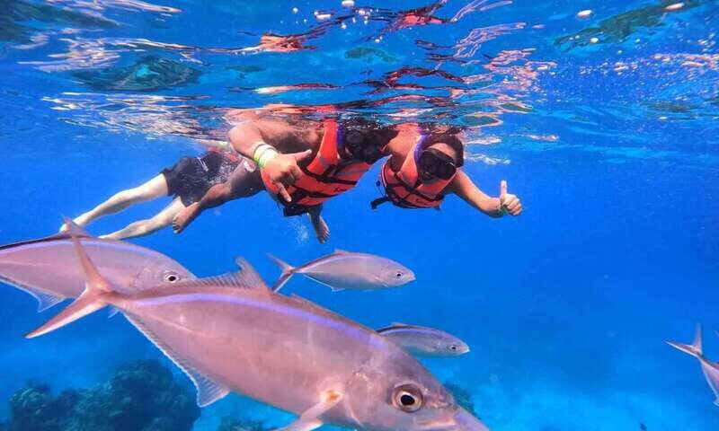 Puerto Morelos: Guided Snorkeling Tour with Gear & Fees - Key things I’d watch for on this tour