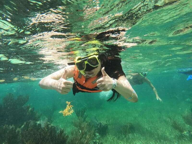 Puerto Morelos: Guided Snorkeling Tour with Gear & Fees - Reef Stop One: Coral Gardens, Fish Schools, and Big Animal Chances