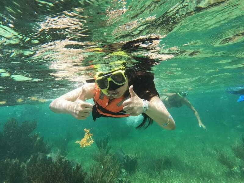 Puerto Morelos: Guided Snorkeling Tour with Gear & Fees - Reef Stop Two: A Different Angle on the Same Puerto Morelos Reef