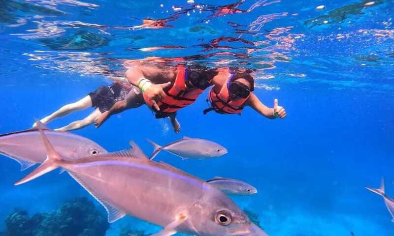 Puerto Morelos: Guided Snorkeling Tour with Gear & Fees - Guides and Boat Ride: The Small-Group Advantage