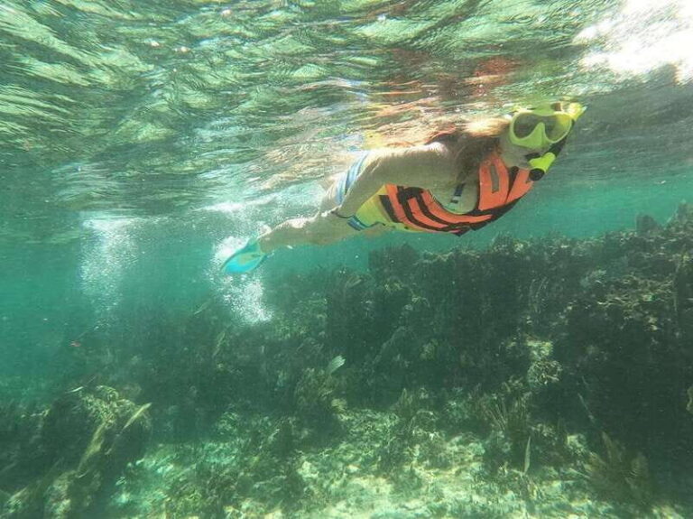 Puerto Morelos: Guided Snorkeling Tour with Gear & Fees - Gear, Safety Briefing, and Reef Rules (Yes, sunscreen is a no)