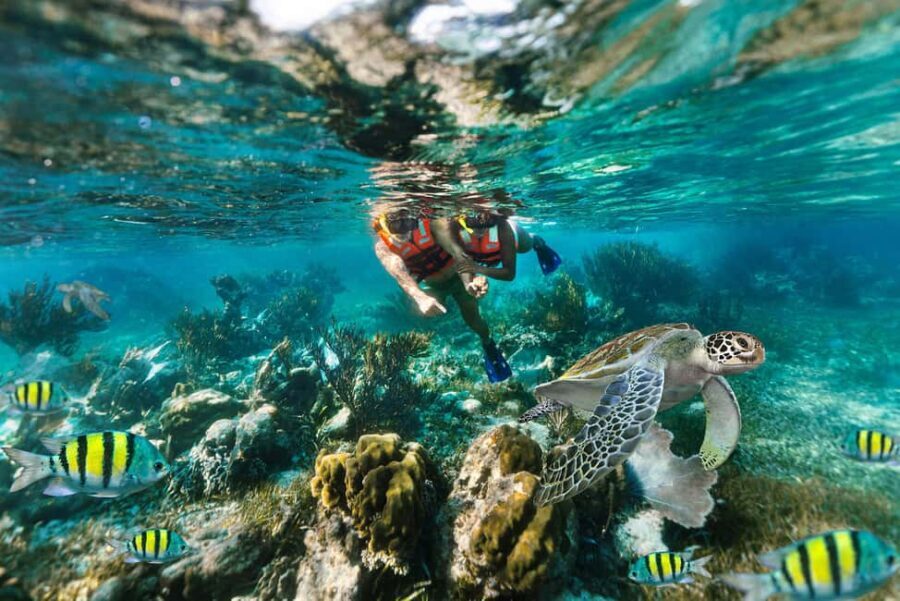 Puerto Morelos: National Reef Park Snorkeling & Beach Lunch - Why Puerto Morelos Makes This Snorkeling Day Work