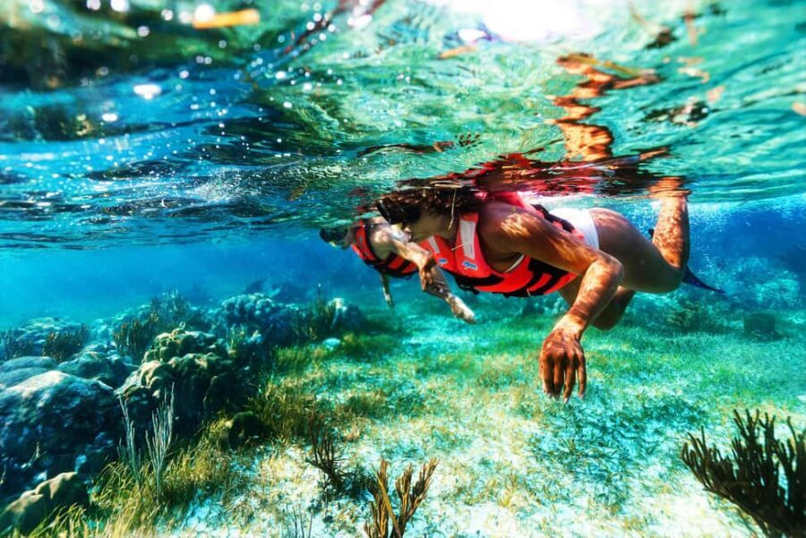 Puerto Morelos: National Reef Park Snorkeling & Beach Lunch - Who This Puerto Morelos Snorkeling Tour Suits Best