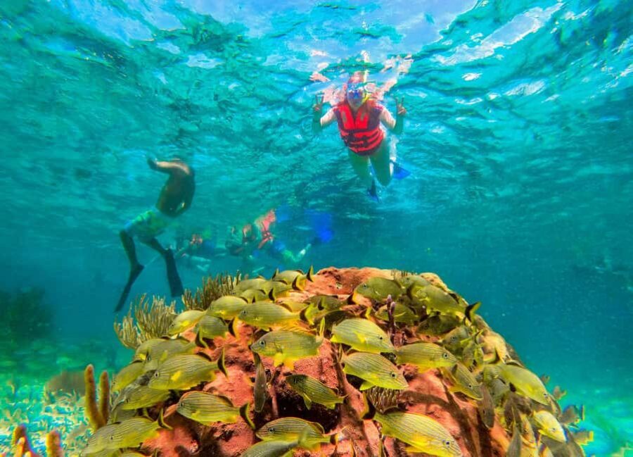 Puerto Morelos: National Reef Park Snorkeling & Beach Lunch - Quick Tips to Get the Most From Your Snorkel Hour