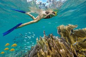 Puerto Morelos Reef Snorkeling Tour with Lunch & Hotel Pickup - Price and the real cost after taxes and port fees