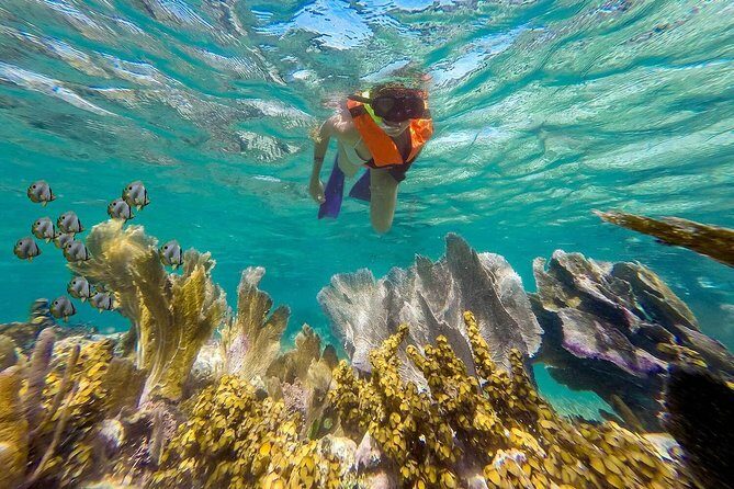Puerto Morelos Reef Snorkeling Tour with Lunch & Hotel Pickup - Gear check and safety: the guide’s real value