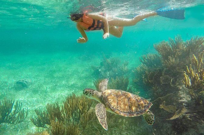Puerto Morelos Reef Snorkeling Tour with Lunch & Hotel Pickup - Lunch at Puerto Morelos Fish Market: fuel and a little town time