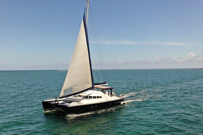 Puerto Morelos Secret Sandbar Catamaran Sail - The sandbar stop: shallow water, floating mats, and real options