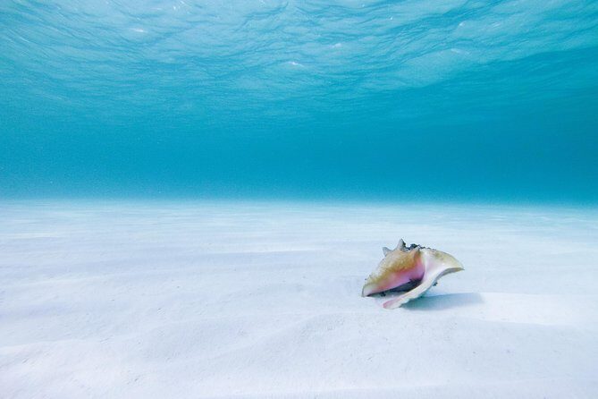 Puerto Morelos Secret Sandbar Catamaran Sail - Price and value: what you pay, what’s extra, and why it still may be worth it