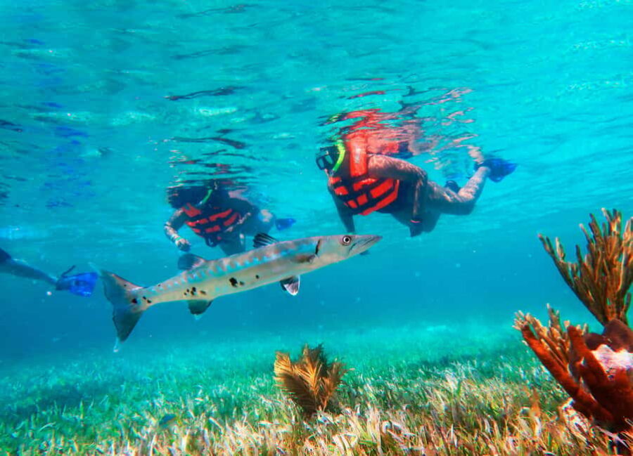 Puerto Morelos: Snorkel, Town Walk, Tequila & Beach Lunch - The dock rules and safety briefing: what you’ll actually need to follow