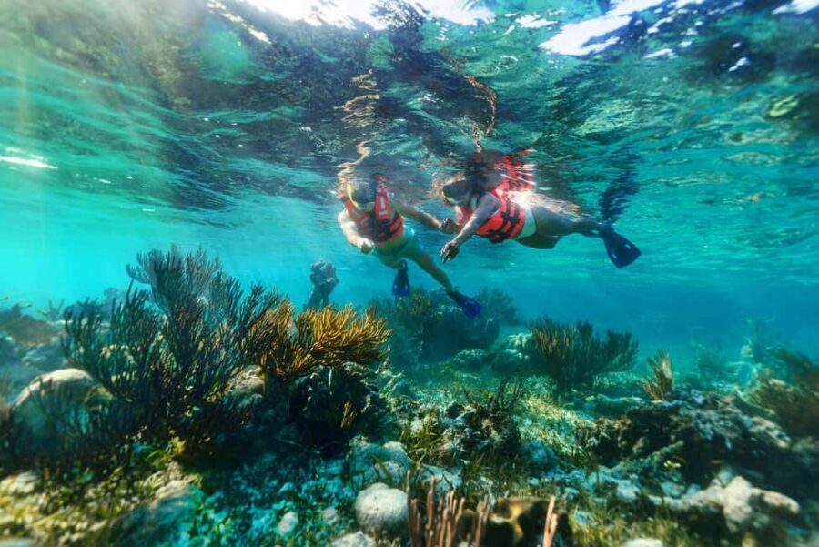 Puerto Morelos: Snorkel, Town Walk, Tequila & Beach Lunch - Puerto Morelos town walk and shopping time: how to spend your free 40 minutes