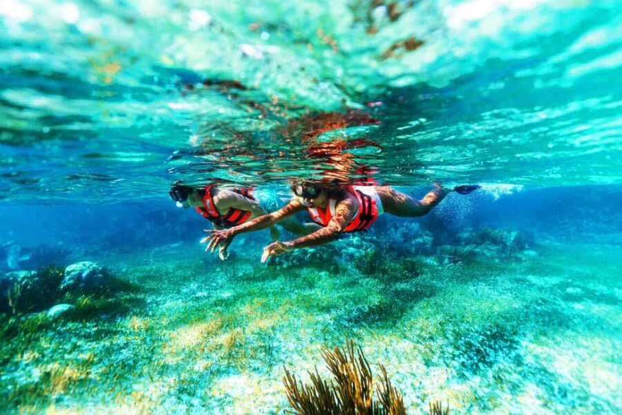 Puerto Morelos: Snorkel, Town Walk, Tequila & Beach Lunch - Price and value: what $39 really buys you (and what costs extra)