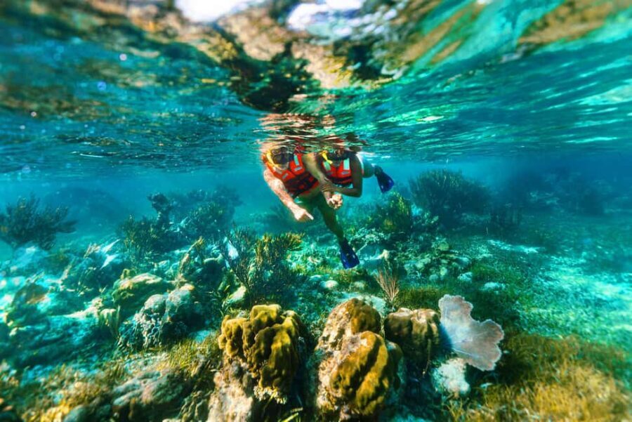 Puerto Morelos: Snorkel, Town Walk, Tequila & Beach Lunch - Who this tour suits best (and who should skip it)