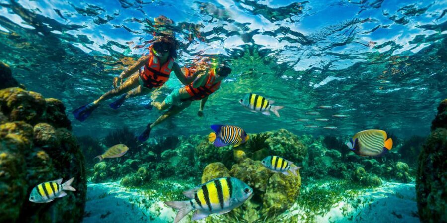 Puerto Morelos: Snorkel, Town Walk, Tequila & Beach Lunch - Getting there from Cancun and Riviera Maya: pickup, van ride, and timing