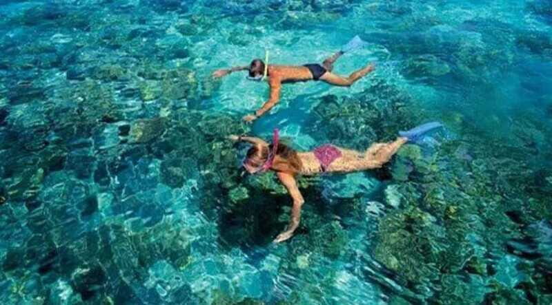Puerto Morelos: Snorkeling at The National Reef Park - What you’re likely to see under the water (and how to spot it)