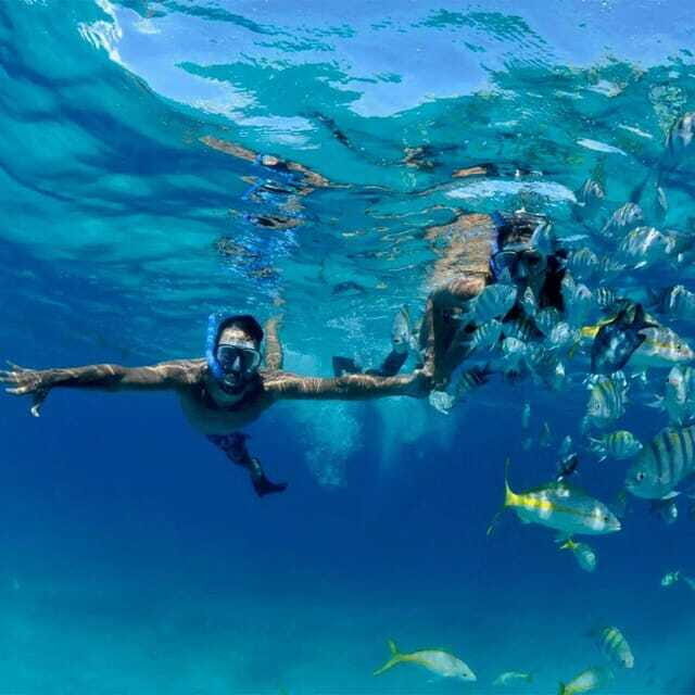 Puerto Morelos: Snorkeling at The National Reef Park - Who this snorkeling trip suits best